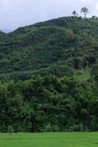 Sud Phongsaly - Paysages