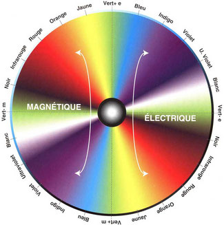 Spectre Magnétique et électrique