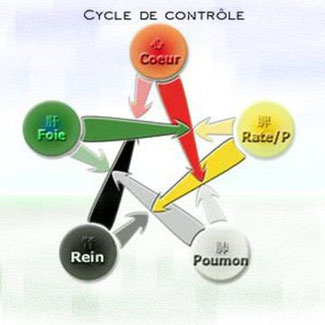 cycle de contrôle