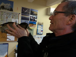 Canard, la mascotte du club de vol à voile de Strasbourg