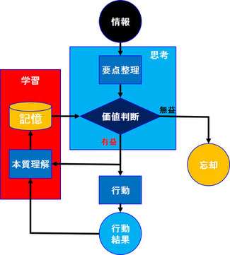 脳の思考・学習・忘却機能