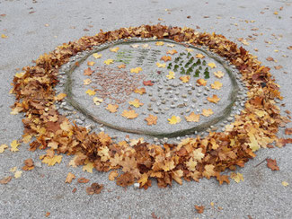 Frühling - Sommer - Herbst - Winter
