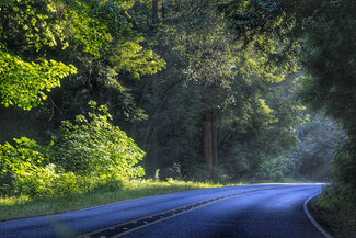 Landstrasse im Wald