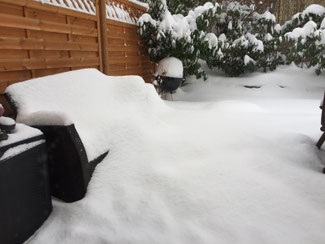 Winter für Winter wieder eine Überraschung: Schnee!