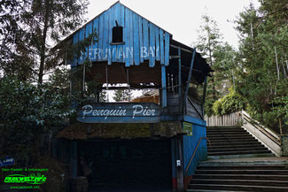 Penguin Pier Pinguin Zoo Amneville Tierpark Frankreich Tiere Ausflug Park Plan Plan du Parc Öffnungszeiten Adresse Parkplatz Familie 