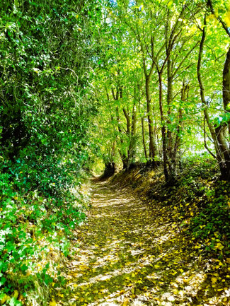Un chemin pédestre longe le gîte, idéal pour une balade au grand air dès le pas de la porte. Que ce soit pour une simple promenade ou une vraie randonnée, ce sentier vous invite à découvrir la campagne environnante, entre champs et forêts.