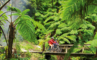 Mountainbiking in den Subtropen © Pressebüro Grönemeier