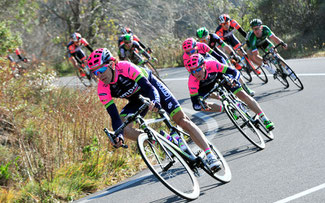 Trofeo Laigueglia © Bettiniphoto