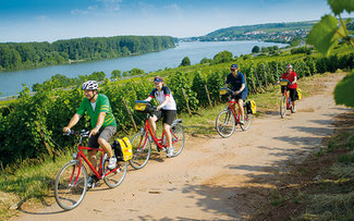 Zwischen Rhein und Reben © EUROBIKE TOURISTIK GmbH