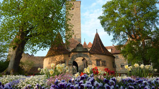 Fewo Rothenburg, Ferienwohnung Dietsch Vestenbergsgreuth in Franlen/Mittelfranken Region Steigerwald