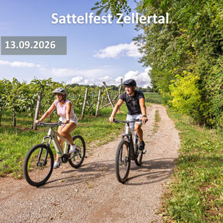 Kirchheimbolanden
