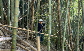 指示が無くても自分からどんどん竹林の中に入っていき竹を伐ったKANPEIさん