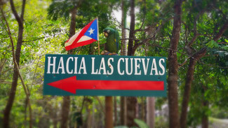 Cueva Ventana tour. 1 hour from the Puntas Tree House