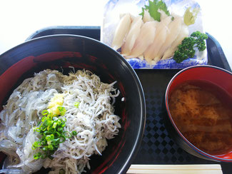 田子の浦漁協食堂のしらす丼