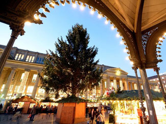 Der Weihnachtsbaum wird mit Ökostrom versorgt. Foto: Bernd Weißbrod/Archiv