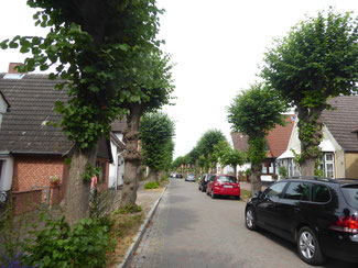 Bild: Die mit Linden gesamte Lange Straße in der kleinsten Stadt Deutschlands Arnis