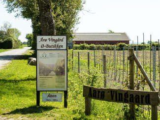 Das dänische Weingut Brummers Gard auf Årø