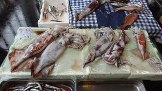 Mercato del pesce a Riposto