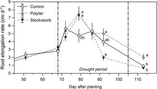 Root elongation rates of Picea abies seedlings under drought as related to Hydrogel soil amendment, studied in a rhizobox system