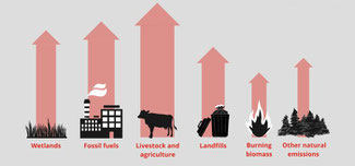 Methane emission sources, simplified illustration