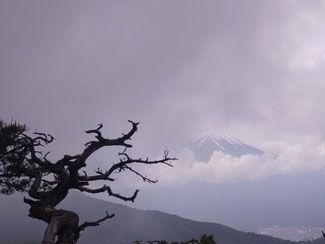 ほんの一瞬ですが、富士が見えました（清八山から）