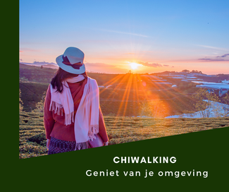 Door ChiWalking geen last van wandel blessures