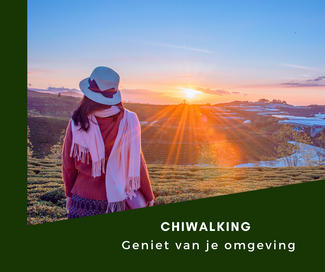 Door ChiWalking geen last van wandel blessures 