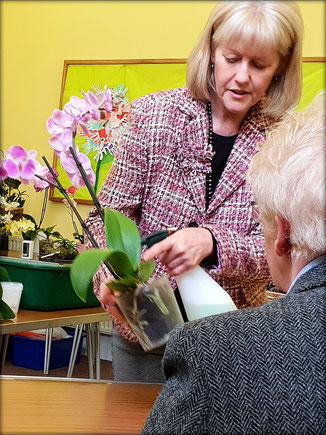 Potting Demonstration at a Workshop with Christine Bartlett from Orchidmania