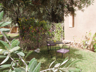 le jardin privé de la chambre d'hotes Coriandre, riad maison d'hotes hôtel le jardin des épices à Taroudant, maroc