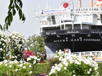 山下公園　氷川丸