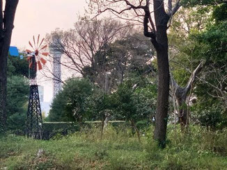 風車（フランス山地区）と横浜マリンタワー