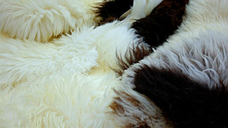 Tierische Mode - Blutige Mode - Schafs- und Lammfelle - fairani