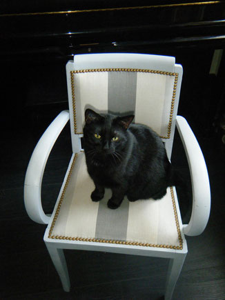 Fauteuil bridge avec un chat noir assis dessus