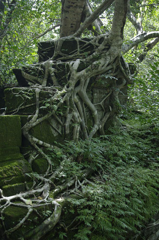 Beng Mealea Tempel