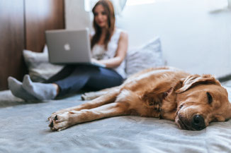 Woman accessing online therapy from the comfort of her own home