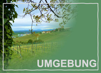 Weil am Rhein, Basel, Lörrach, Südschwarzwald - Unsere Region