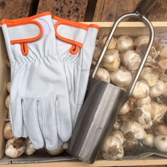 Der "Contact - R" vom französichen Handschuhspezialisten Rostaing ist ein wunderbar verarbeiteter, weicher Lammlederhandschuh für die Gartenarbeit von www.the-golden-rabbit.de