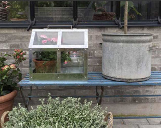 Kleines Gewächshaus für innen und außen bei www.the-golden-rabbit.de