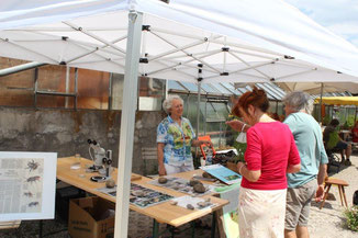 Infostand der Bunten Wiese auf auf dem Bienentag in der Gärtnerei Jantzen