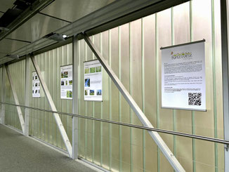 Poster unserer Gewinner*innen des Fotowettbewerbs 2024 befinden sich an der Brücke zum Ammerbau