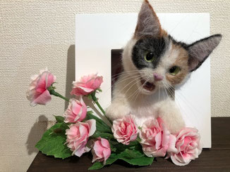 斉藤周子 「薔薇と三毛猫」(バラ造花付)¥55,000 フェルト造形 羊毛、獣毛、ガラス、レジン 幅190㎜×奥行110㎜×高150㎜