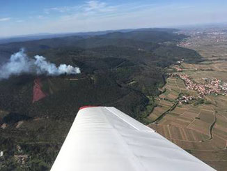 Dank der Zusammenarbeit mit der DFS können Waldbrände nun direkt über FIS gemeldet werden