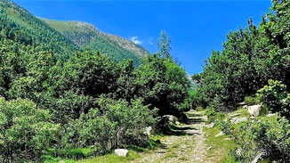 Camí per la vall de Campcardós