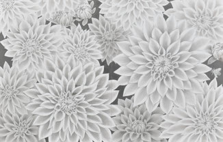 第69回一陽展　ダリアと小さな働き者