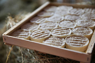 Fromage AOP Rocamadour