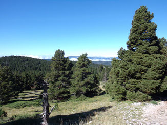 acces aux plateaux du vercors