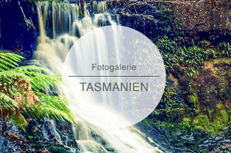 Fotogalerie, Bilder, Tasmanien