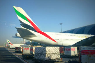 Dubai, Emirates, Airbus A380, Die Traumreiser