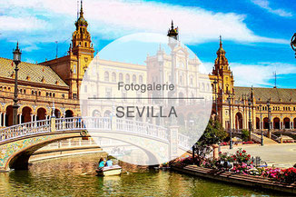 Fotogalerie, Bilder, Sevilla