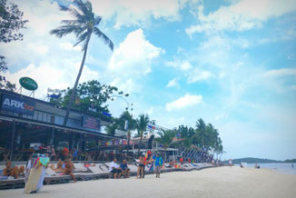 Koh Samui, Thailand, Strand, Palme, Die Traumreiser